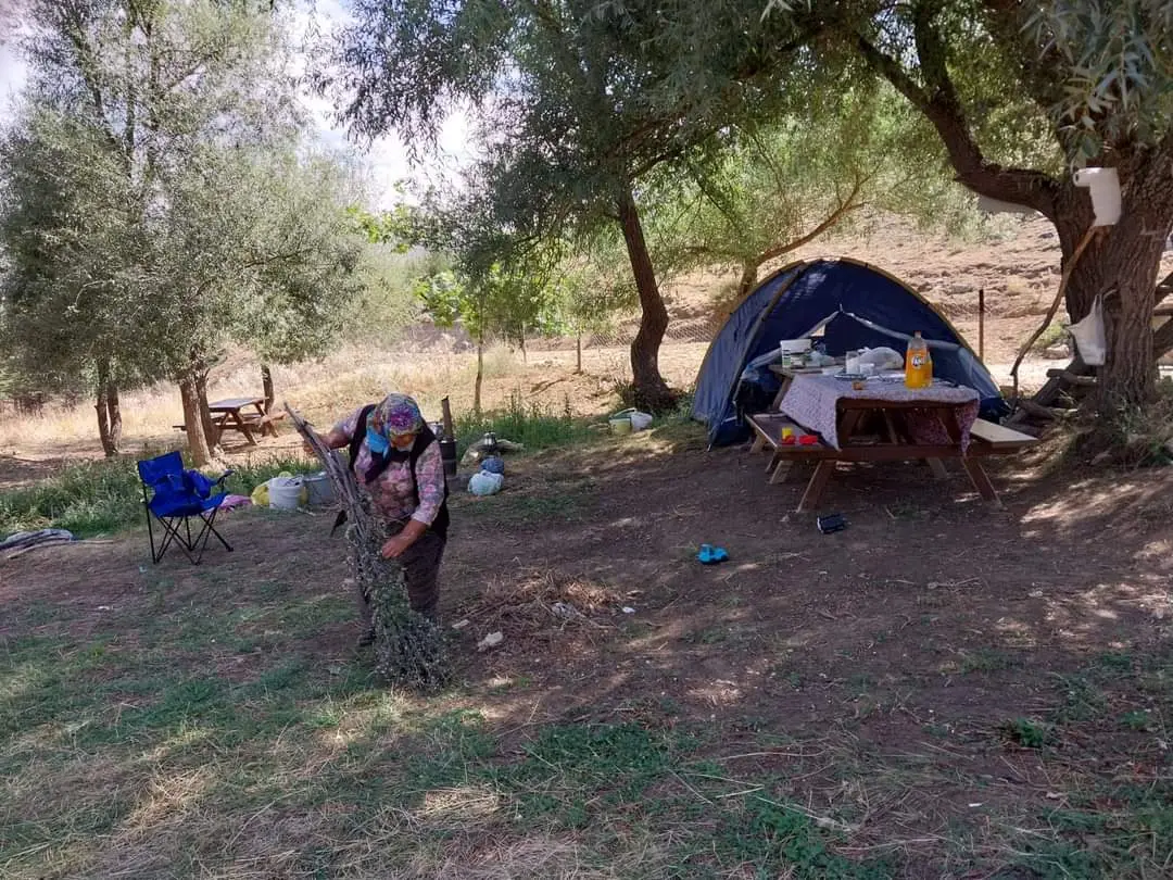 Mezerediği picnic camping area — Isparta — küçük resim 4