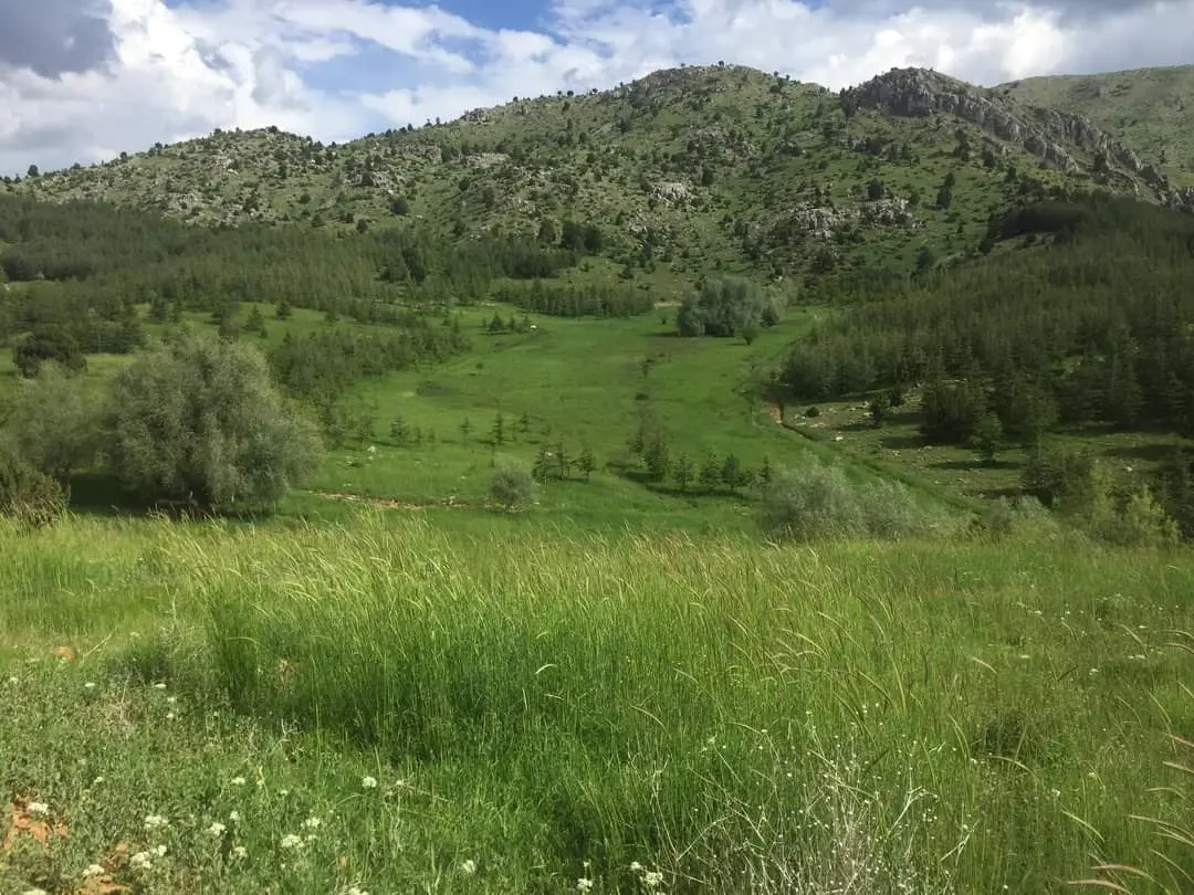 Mezerediği picnic camping area — Isparta — küçük resim 9
