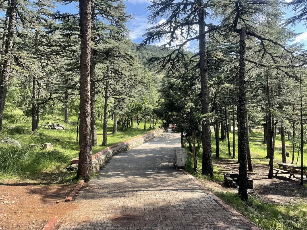 Kızıldağ National Park — Isparta — küçük resim 8