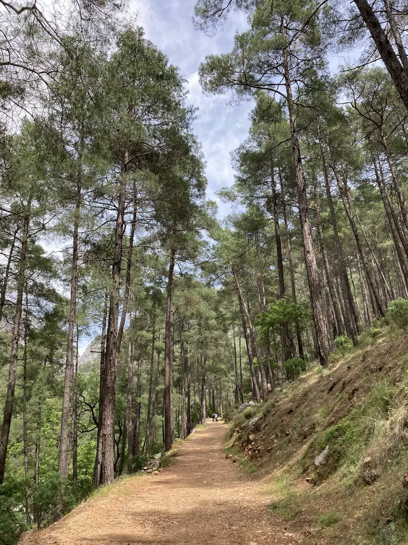 Parque Natural del Cañón Yazılı — Isparta — küçük resim 4