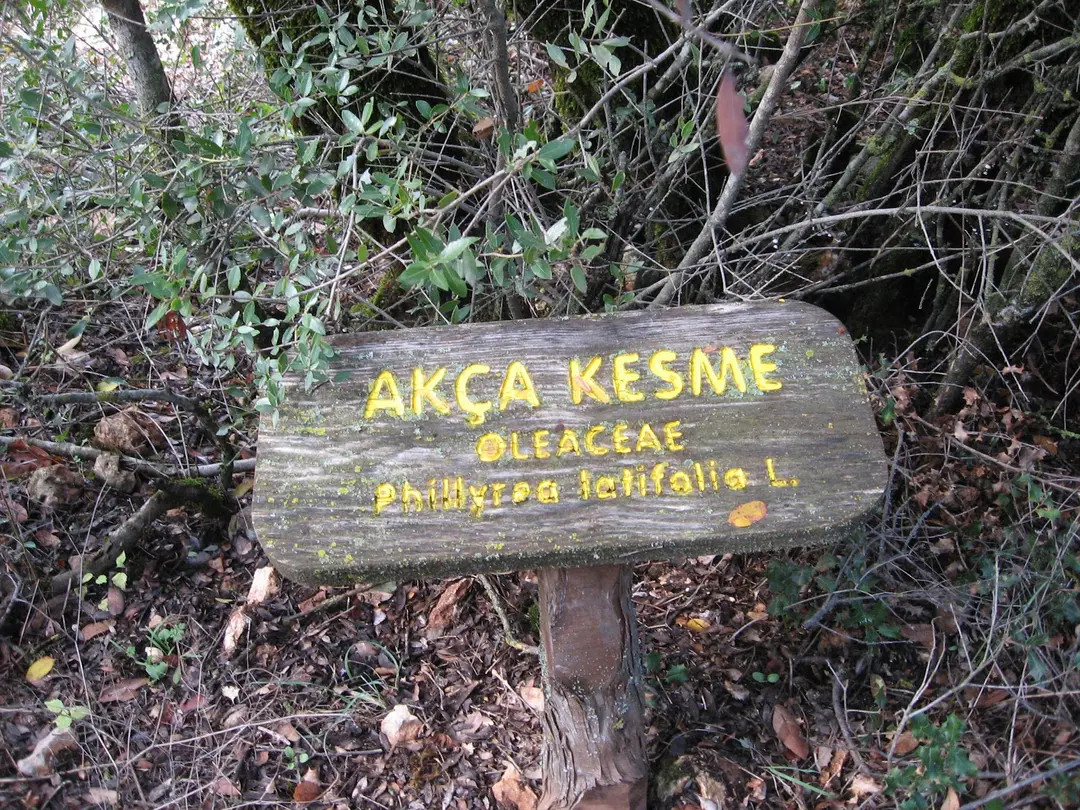 Kovada Günübirlik Kamping — Isparta — küçük resim 9
