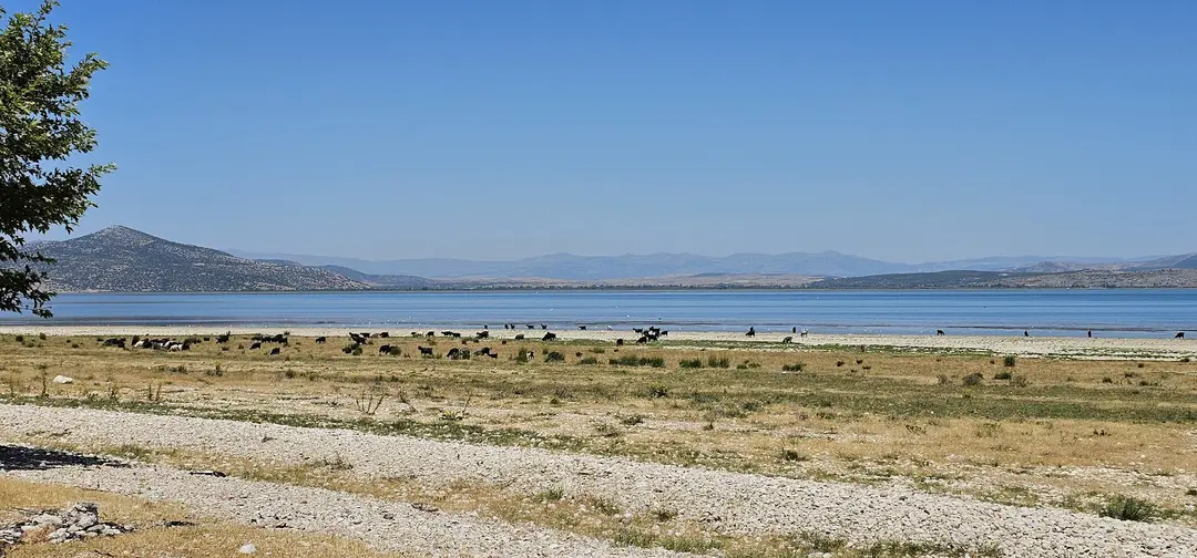Boyalı Mesire — Isparta — küçük resim 2