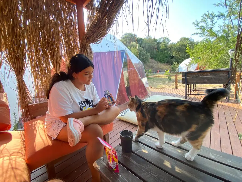 Teos Glamping — İzmir — küçük resim 5