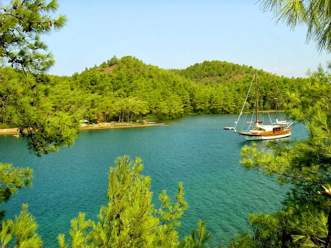 Club Amazon Bördübet — Muğla — küçük resim 6