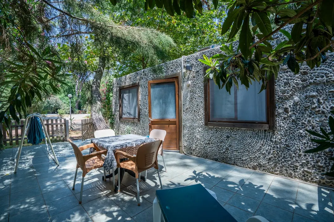 Club Amazon Bördübet — Muğla — küçük resim 2