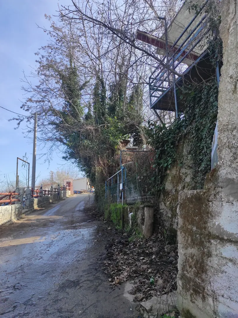 Kemalpaşa