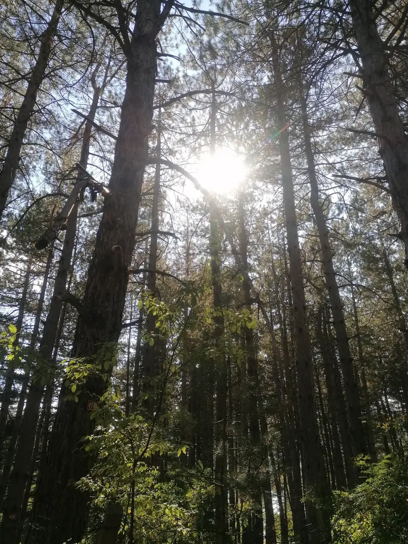 Yamanlardağı Nature Park — Isparta — küçük resim 10