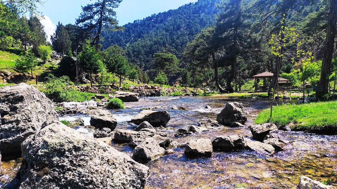 Başpınar Nature Park Camping and Picnic Area — Isparta — küçük resim 6