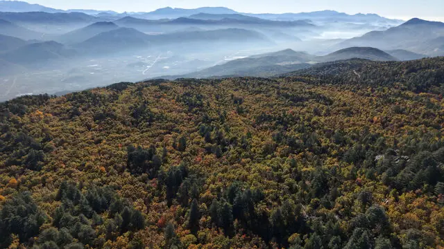 Kasnak Forest Conservation Area — Isparta — küçük resim 4