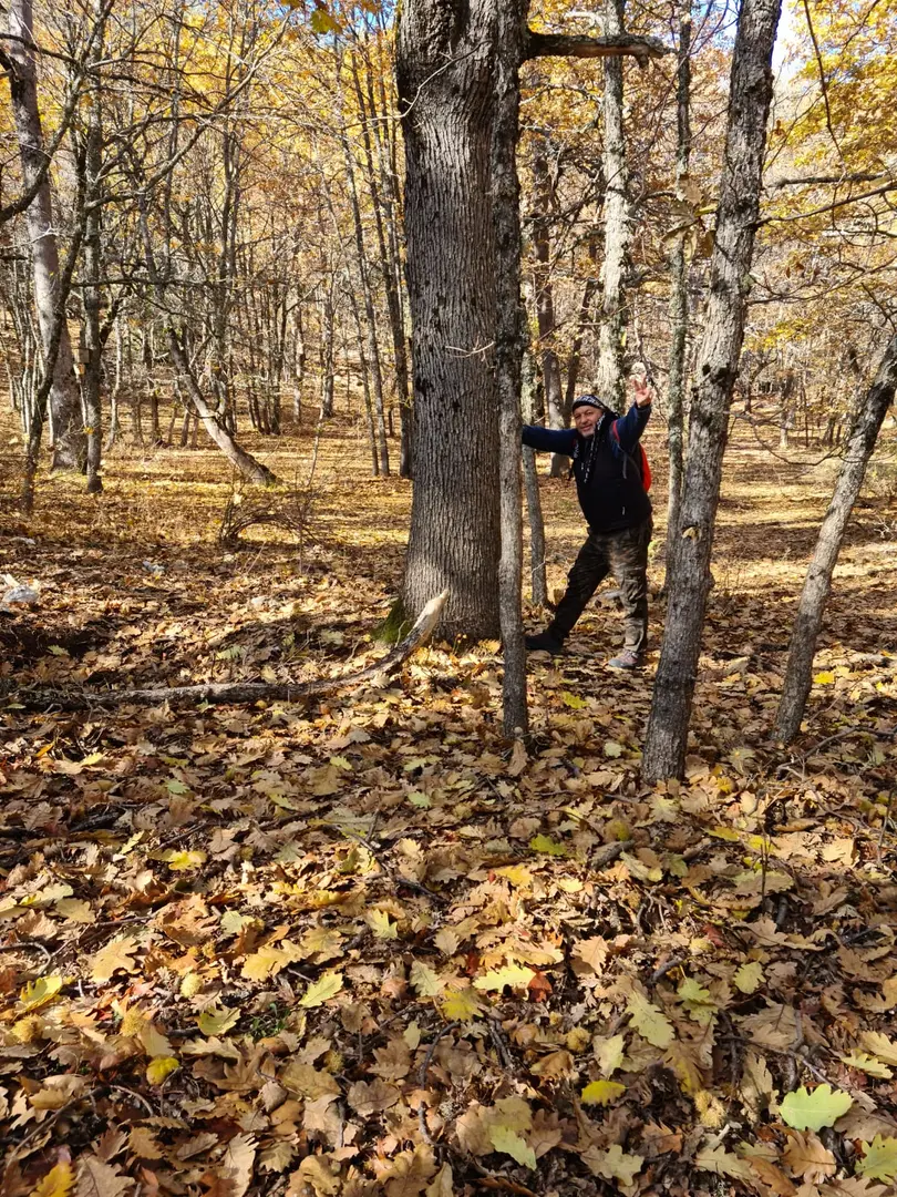 Kasnak Forest Conservation Area — Isparta — küçük resim 2