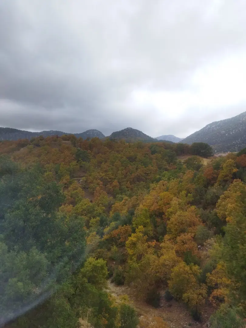 Kasnak Forest Conservation Area — Isparta — küçük resim 6