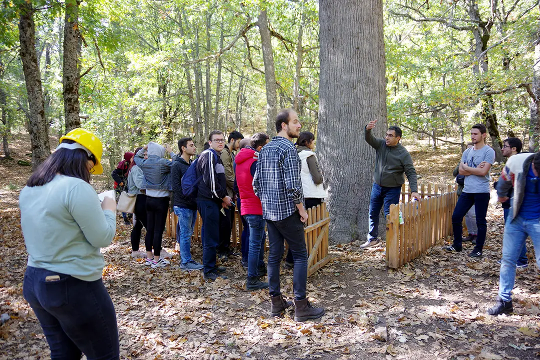 ISUBÜ Faculty of Forestry — Isparta — küçük resim 4