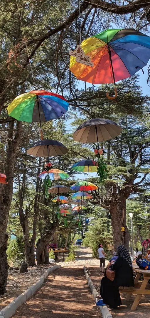 Cedrus life kamp ve karavan alanı — Mersin — küçük resim 7