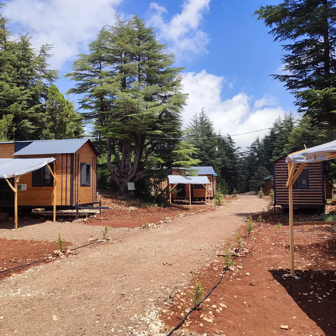Cedrus life kamp ve karavan alanı — Mersin — küçük resim 5
