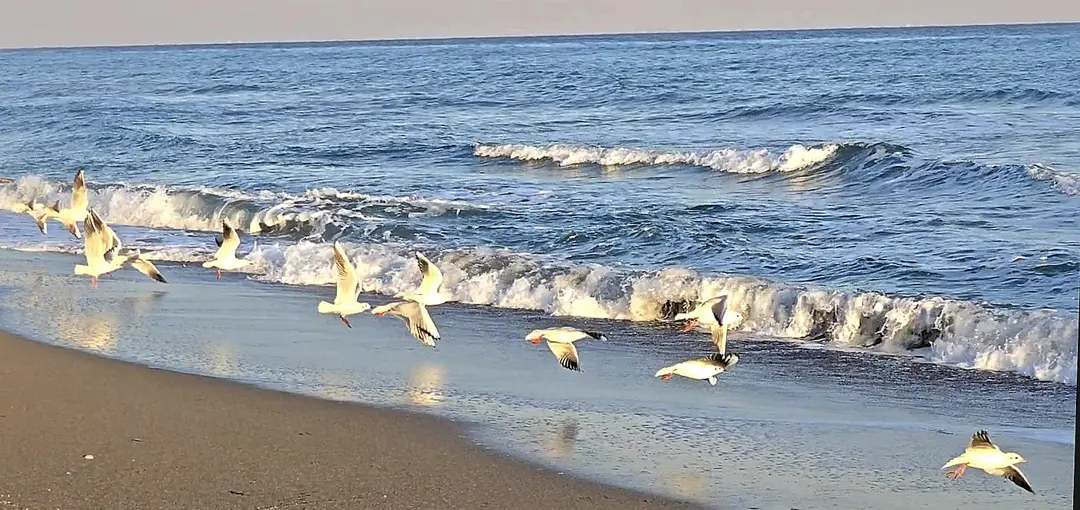 Mezitli Tece karavan parkı — Mersin — küçük resim 5