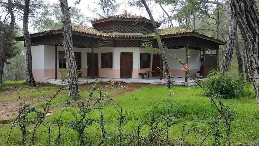 Dikilitaş kamp ve Piknik alanı