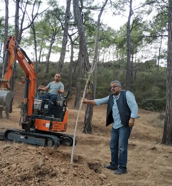Dikilitaş kamp ve Piknik alanı — Mersin — küçük resim 9