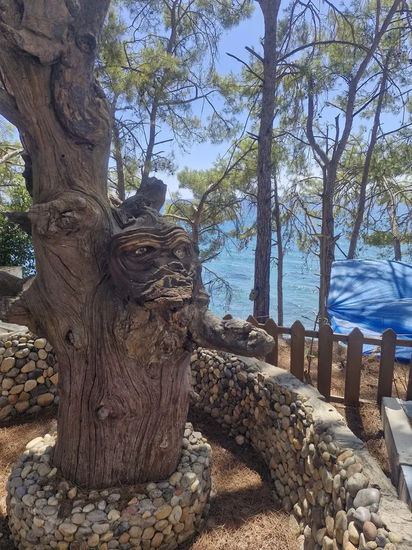 Pullu Çadır Kampı — Mersin — küçük resim 9