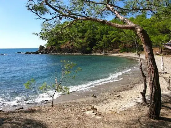 Pullu Tabİat Parkı — Mersin — küçük resim 5