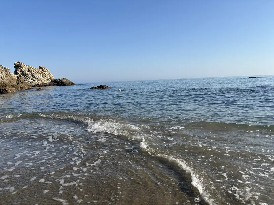 Pullu Tabİat Parkı — Mersin — küçük resim 9