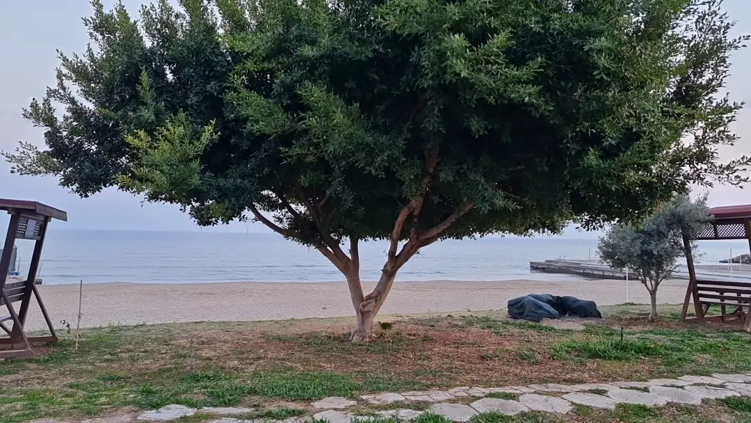 Dz. K. K. Mezitli Eğitim Plajı — Mersin — küçük resim 4