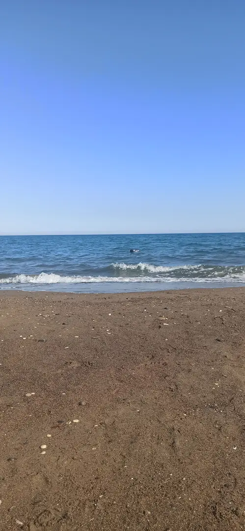 Kocahasanlı Kamp Alanı Halk Plajı — Mersin — küçük resim 7
