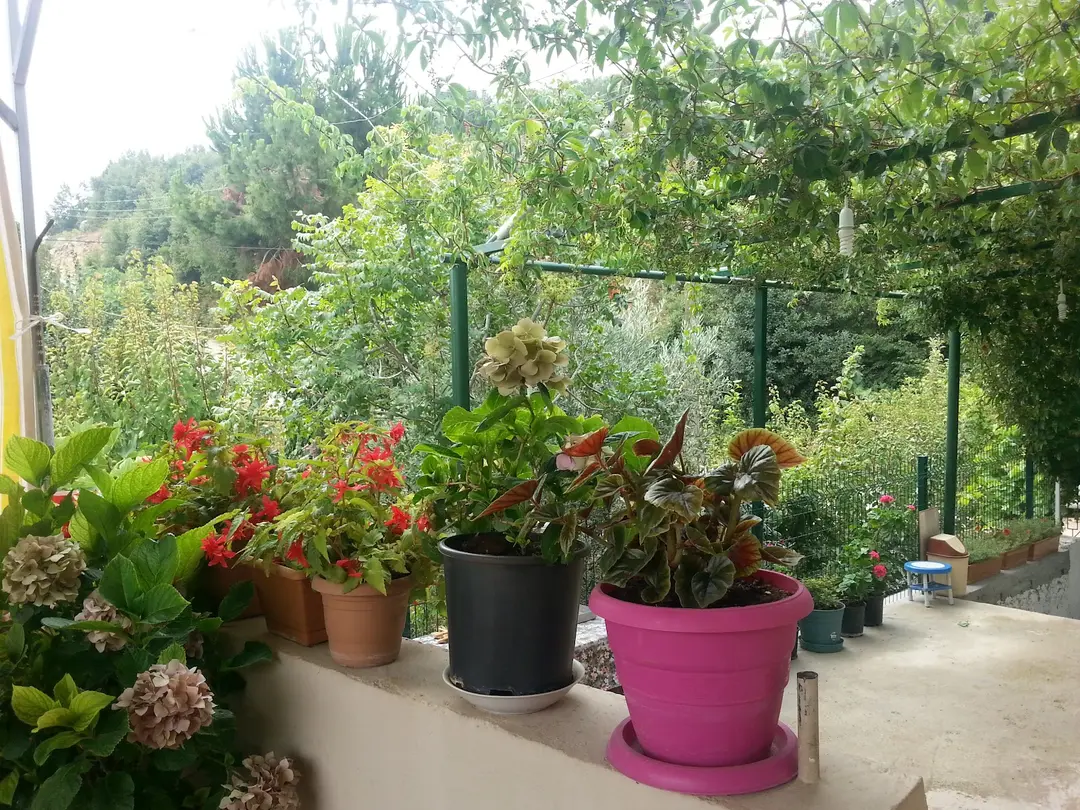 Free Ücretsiz Camp alanı — Mersin — küçük resim 9