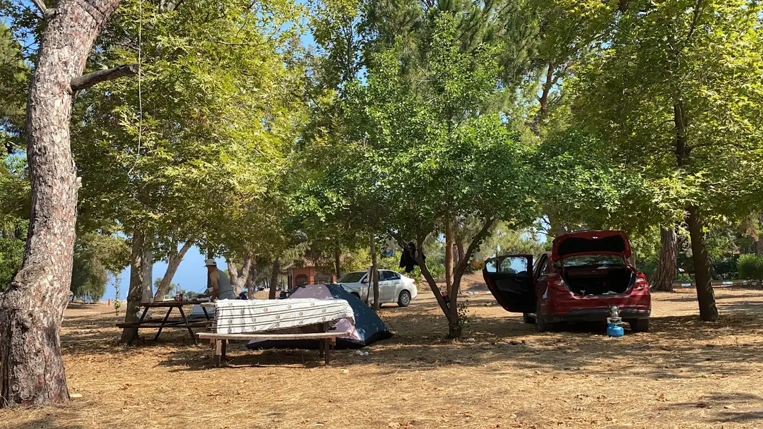 DKMP Erdemli Çamlığı (Talat Göktepe) Tabiat Parkı — Mersin — küçük resim 2