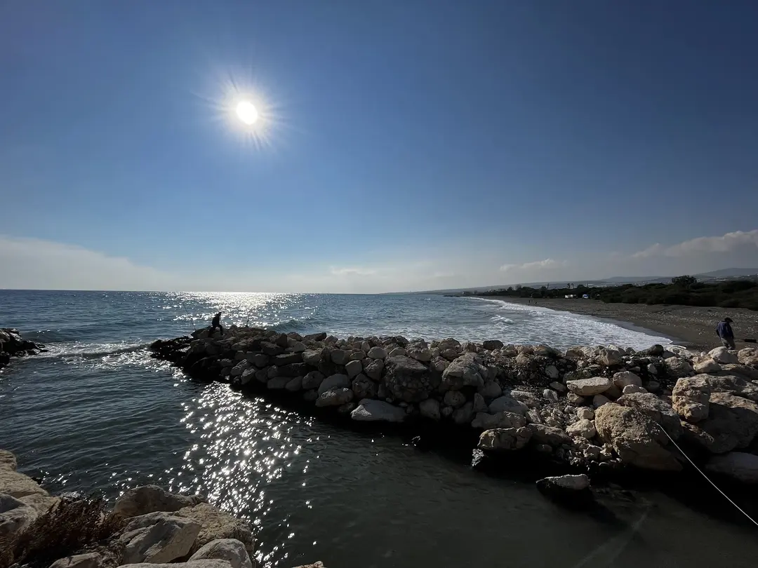 DKMP Erdemli Çamlığı (Talat Göktepe) Tabiat Parkı — Mersin — küçük resim 8