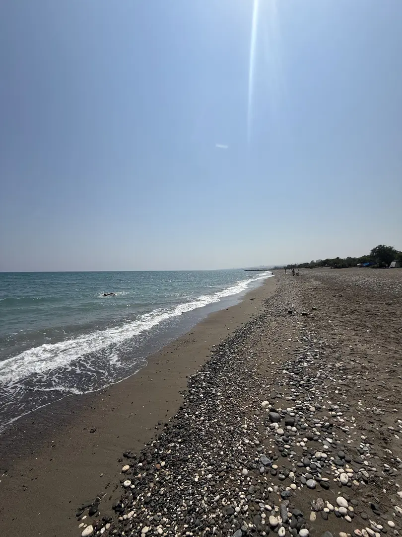 DKMP Erdemli Çamlığı (Talat Göktepe) Tabiat Parkı — Mersin — fotoğraf 1