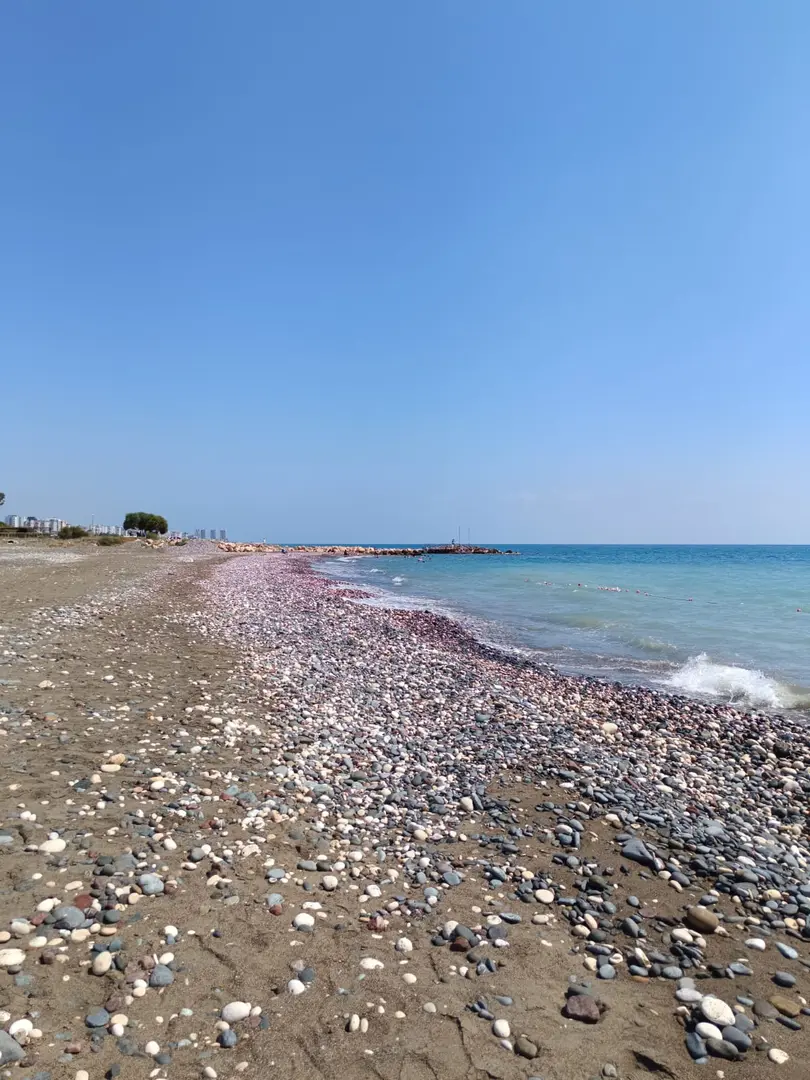 DKMP Erdemli Çamlığı (Talat Göktepe) Tabiat Parkı — Mersin — küçük resim 6