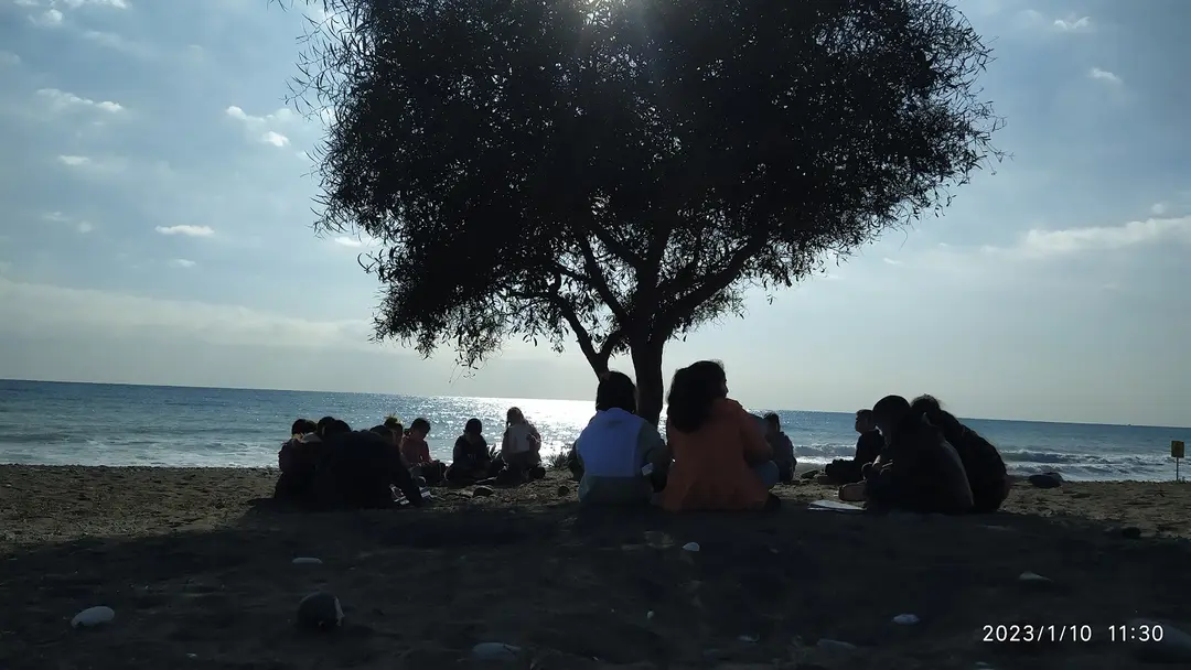 DKMP Erdemli Çamlığı (Talat Göktepe) Tabiat Parkı — Mersin — küçük resim 9