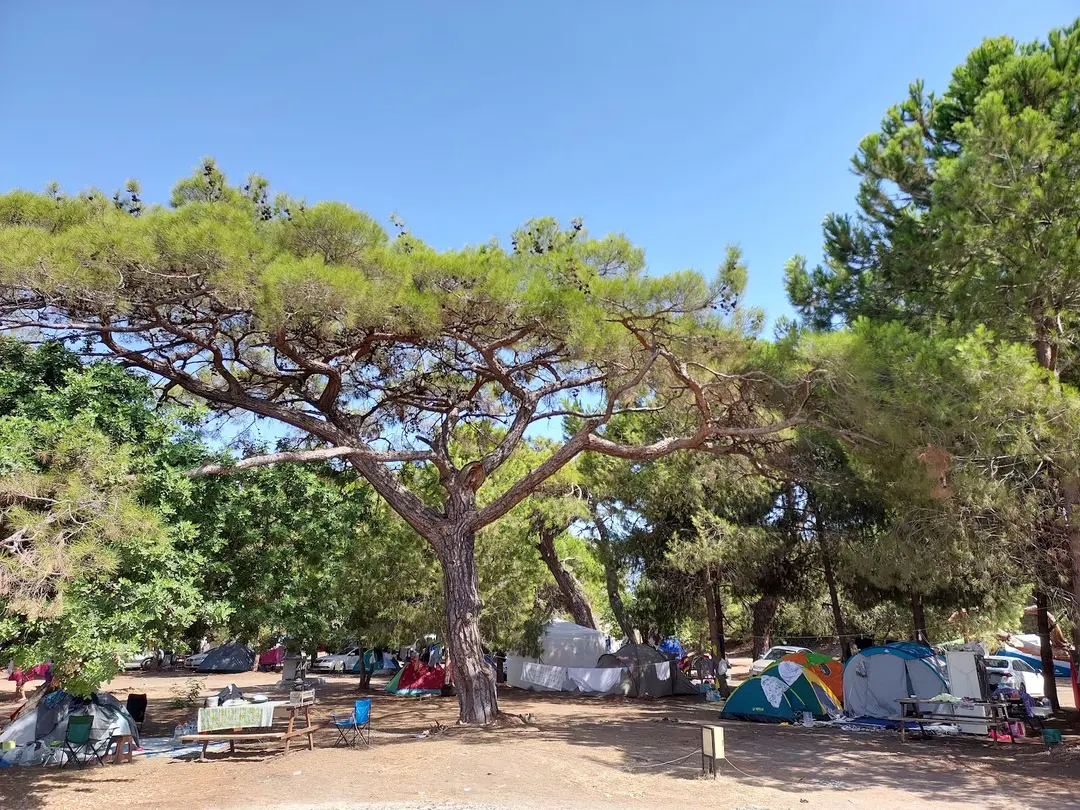 DKMP Erdemli Çamlığı (Talat Göktepe) Tabiat Parkı — Mersin — küçük resim 3