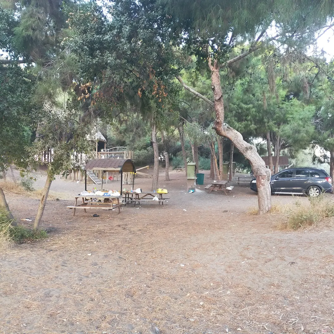 Mersin Yüzüncü Yıl Tabiat Parkı — Mersin — küçük resim 2