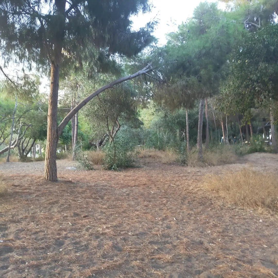 Mersin Yüzüncü Yıl Tabiat Parkı