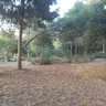 Mersin Yüzüncü Yıl Tabiat Parkı