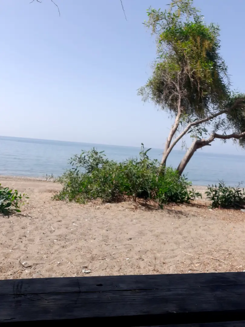 Mersin Yüzüncü Yıl Tabiat Parkı — Mersin — küçük resim 6