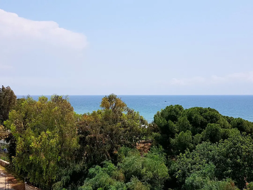100 Yıl Gümüş Kum Mesire Yeri — Mersin — küçük resim 10