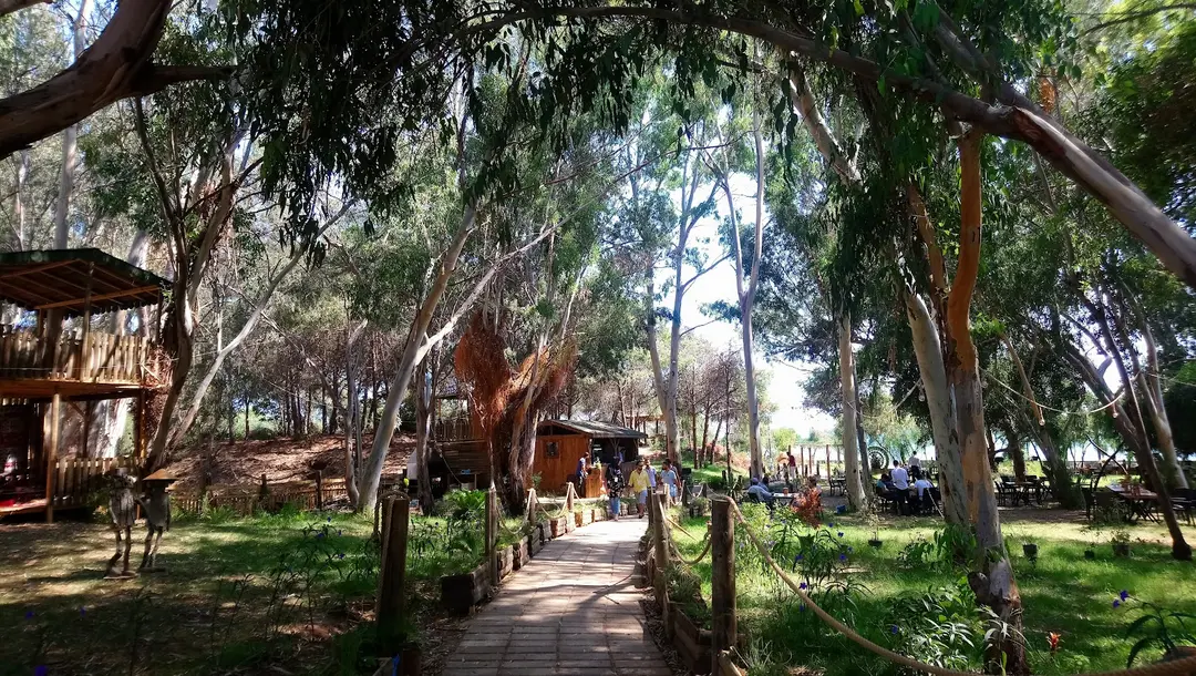 100 Yıl Gümüş Kum Mesire Yeri — Mersin — küçük resim 8