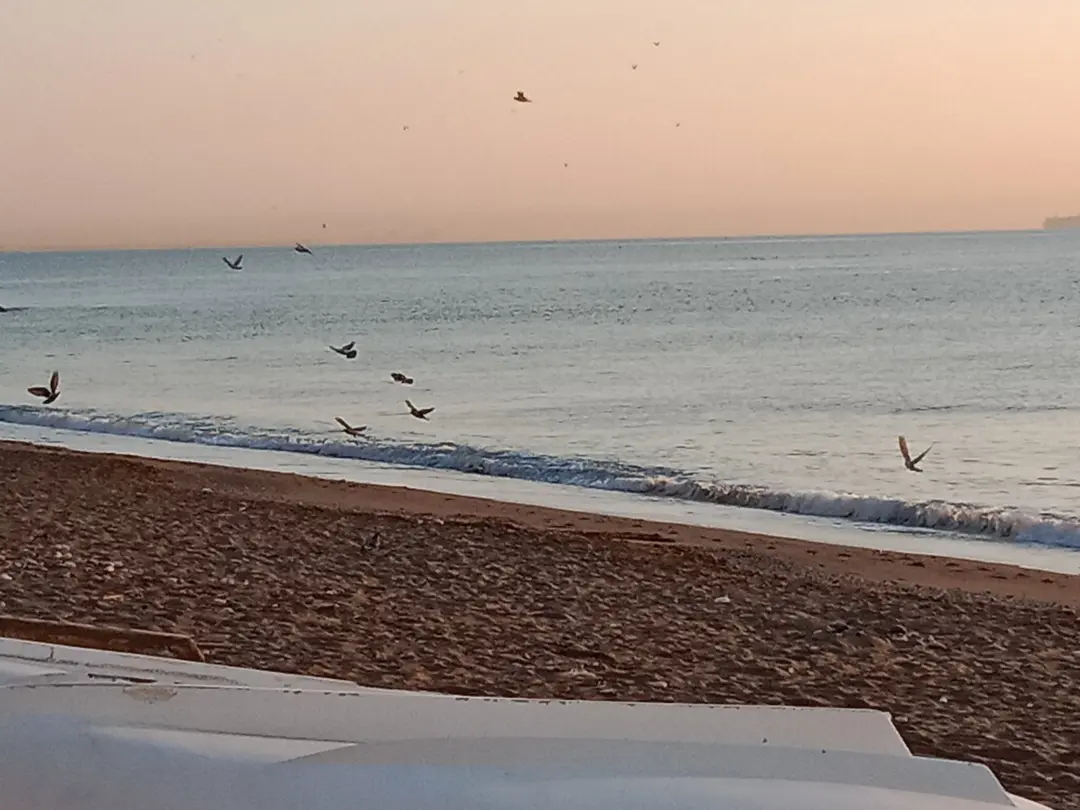 Ufuk Sitesi — Mersin — küçük resim 3