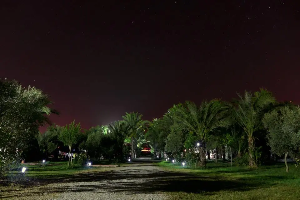 Camping Paradies — Mersin — küçük resim 8