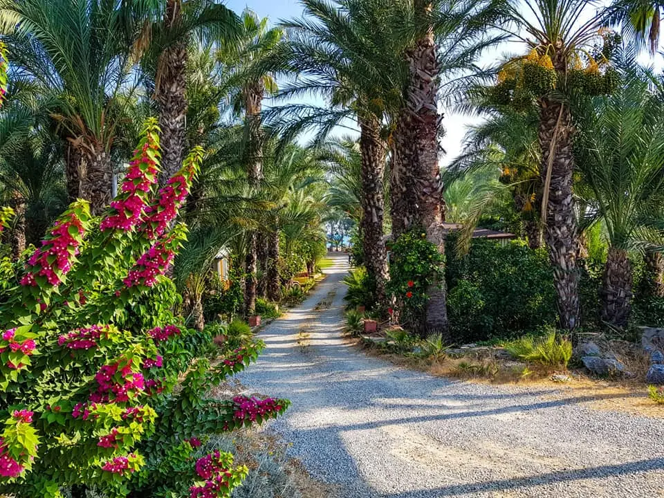 Camping Paradies — Mersin — küçük resim 2