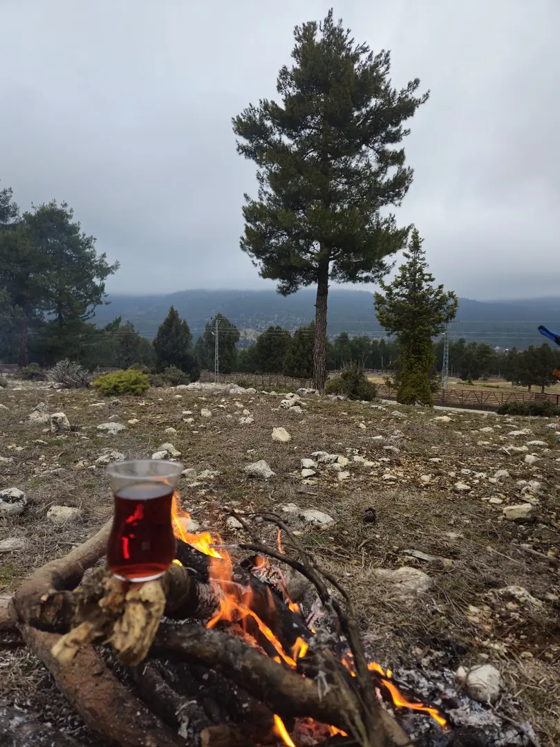 Zevzek Tepesi Camping Area — Mersin — küçük resim 10