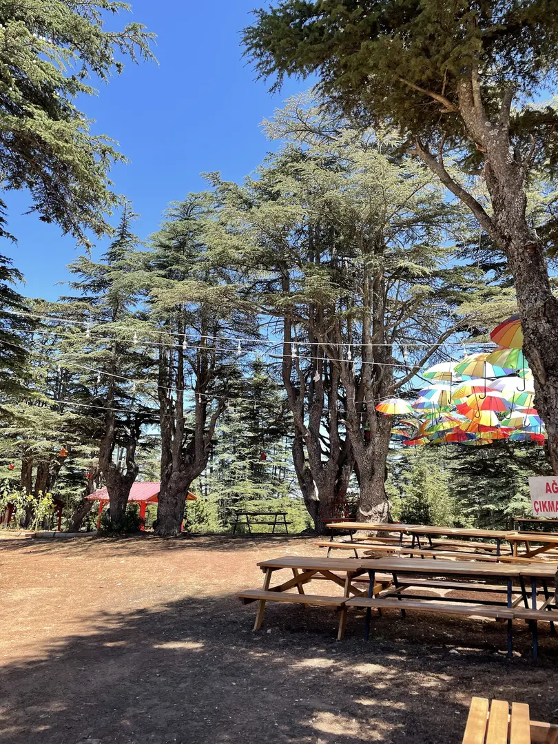 Cedrus Life Bungalow, Kamp ve Karavan — Mersin — küçük resim 2