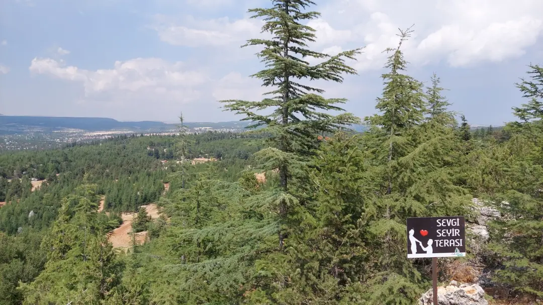 Cedrus Life Bungalow, Kamp ve Karavan — Mersin — küçük resim 3