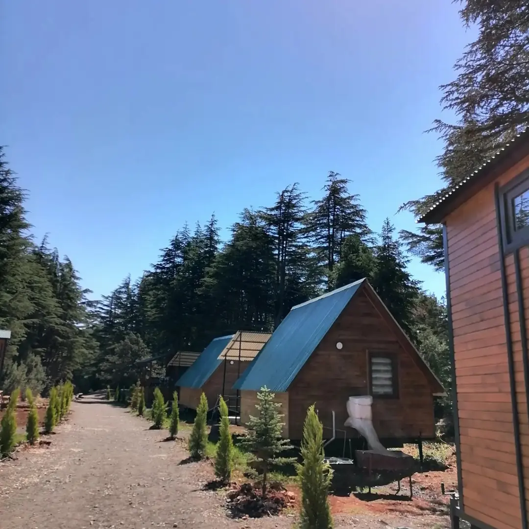 Cedrus Life Bungalow, Kamp ve Karavan — Mersin — küçük resim 6