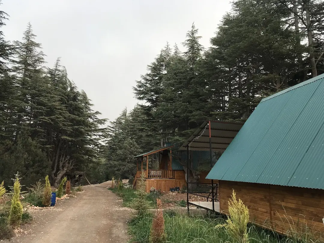 Cedrus Life Bungalow, Kamp ve Karavan — Mersin — küçük resim 9