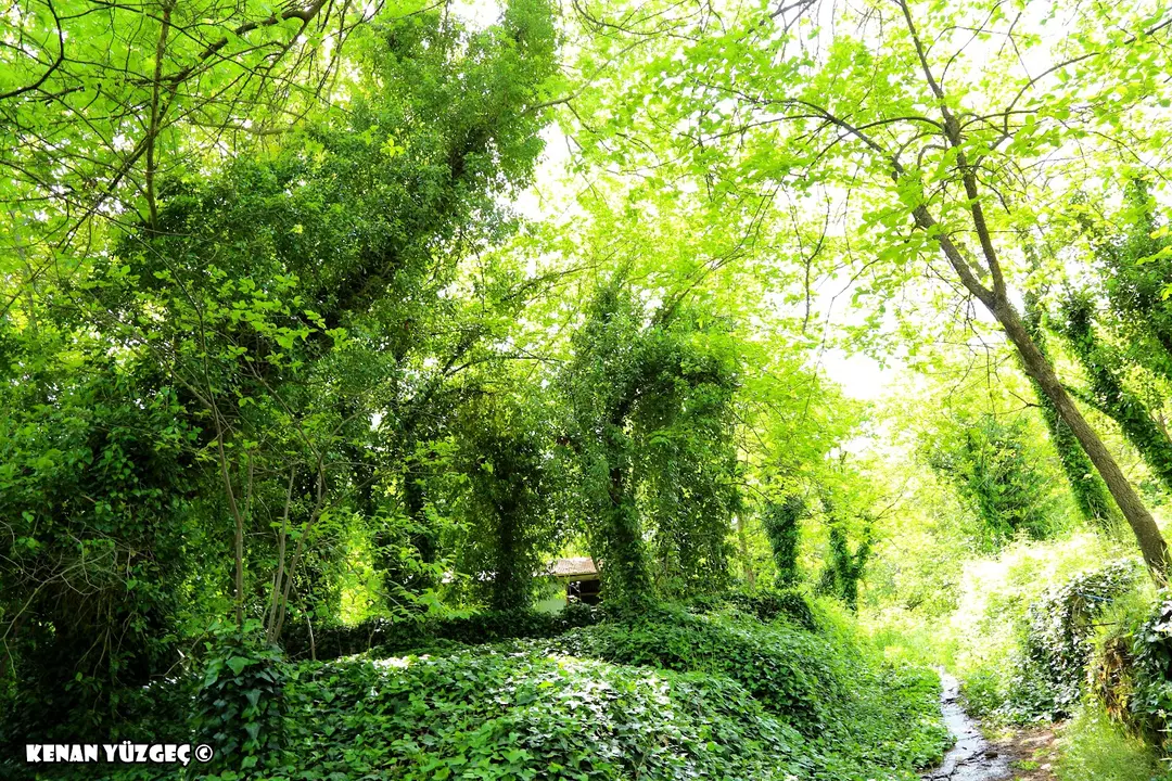 Kadıncık Valley National Park — Mersin — küçük resim 8