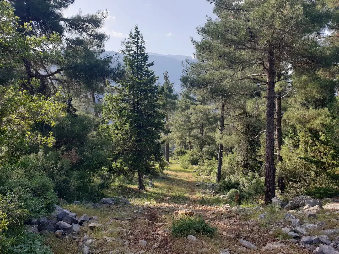 Kadıncık Valley National Park — Mersin — küçük resim 4
