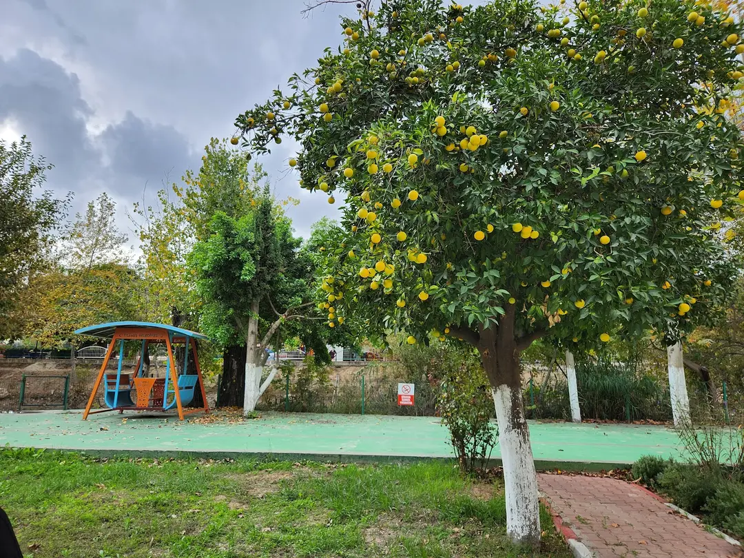 Tarsus Belediyesi Karavan Parkı — Mersin — küçük resim 7